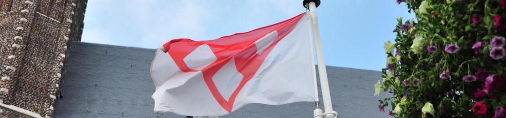 Vlag, wapenschild en logo