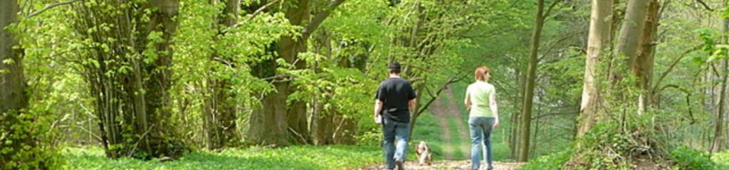 Wandelen langs de knooppunten