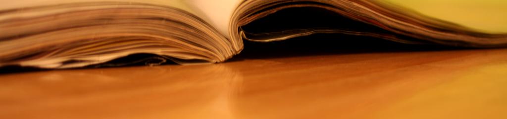 Digitaal archief 2310 en INFO Rijkevorsel