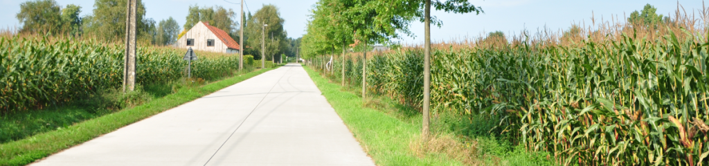 Laanbomen