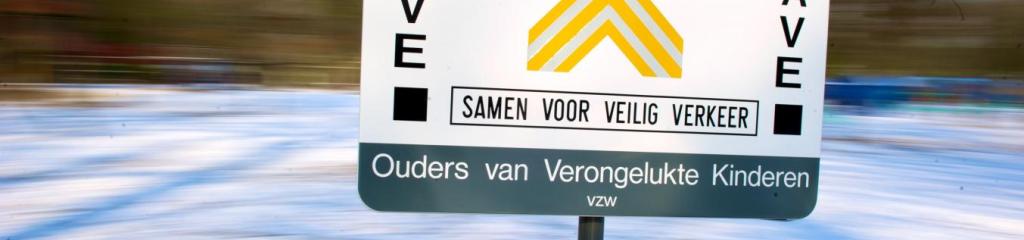 SAVE-charter