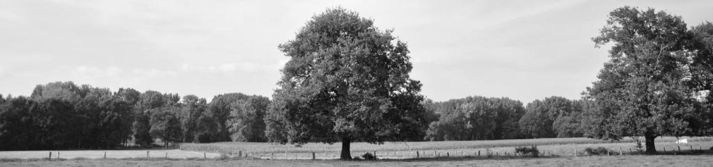 Natuurlijk Rijkevorsel