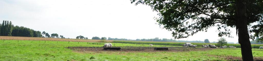Vallei van de Bolkse Beek