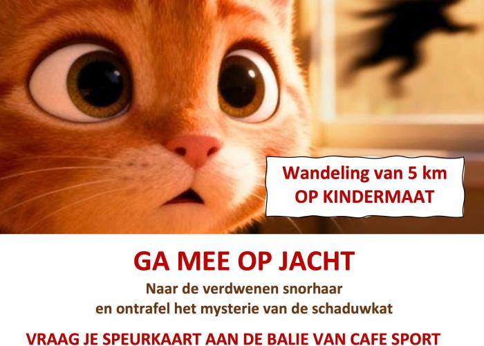 Speurtocht: het verhaal van de schaduwkat en de verdwenen zilveren snorhaar © vzw zwerfkatten Rijkevorsel