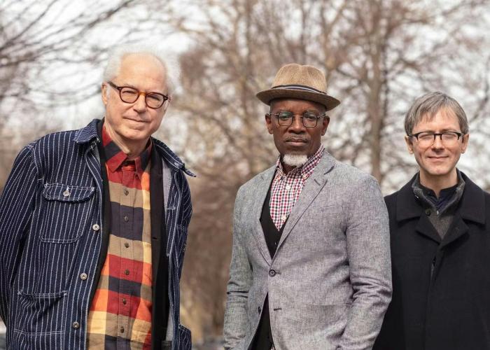 Bill Frisell trio feat. Luke Bergman and Rudy Royston © Bill Frisell
