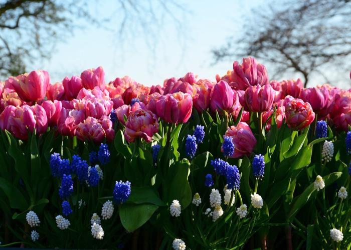 Paasfeest © 49pauly