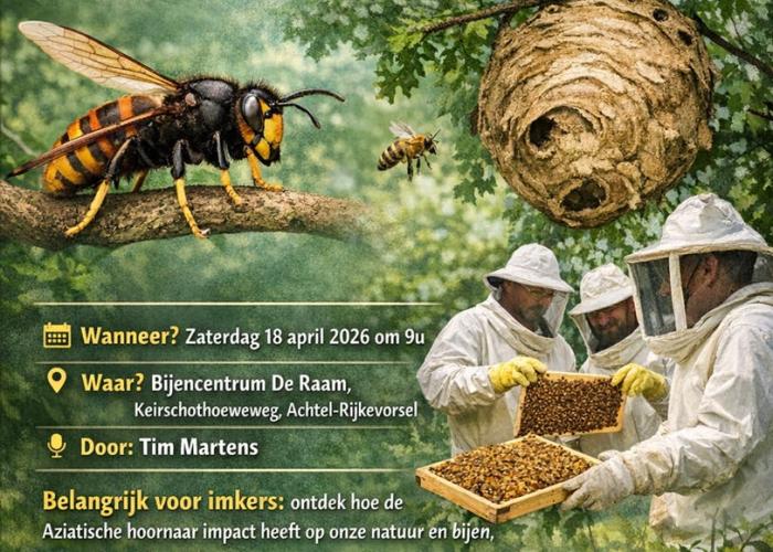 De Aziatische Hoornaar © Bijencentrum De Raam
