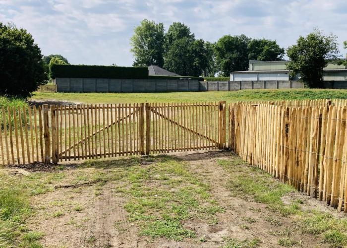 Ontdek de nieuwe hondenlosloopweide op Donk