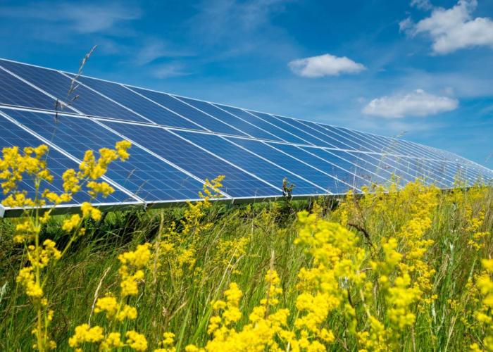 GREEN investeringssteun maakt energie van bedrijven groener en efficiënter