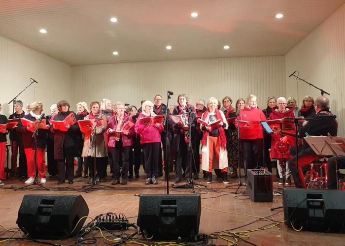 Zangkoor SmarTones zingt lied 'Veussel' op 2310-dag