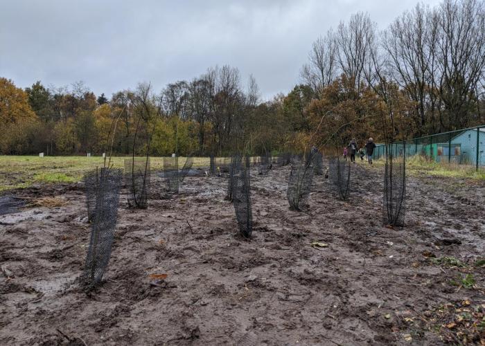 Leerlingen van Het Kompas planten houtkant aan