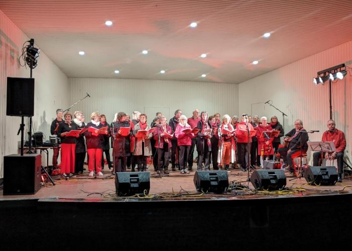 Zangkoor SmarTones zingt lied 'Veussel' op 2310-dag