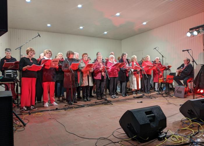 Zangkoor SmarTones zingt lied 'Veussel' op 2310-dag