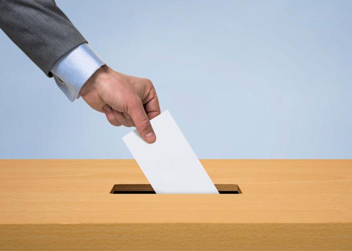 Resultaten verkiezingen 13 oktober 2024