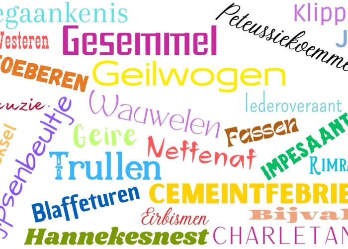 Stem mee op het 'Schoonste Veusselse Woord'!