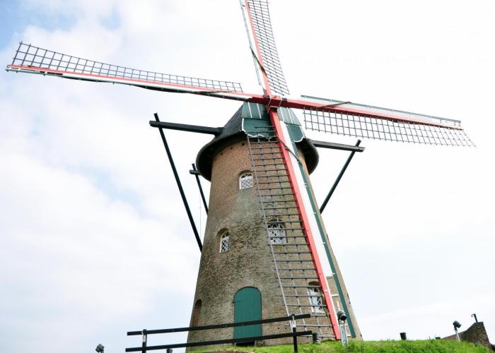 Stenen Bergmolen is 'Hét erfgoed van Rijkevorsel'