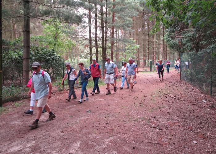 Wandelnetwerk