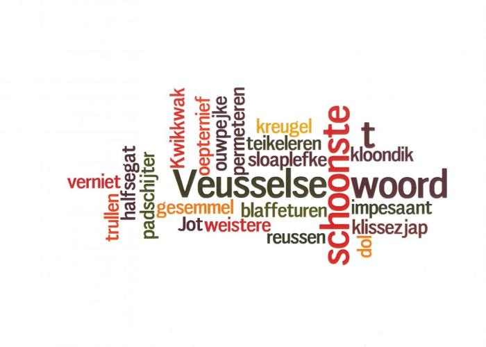 Het schoonste Veusselse woord