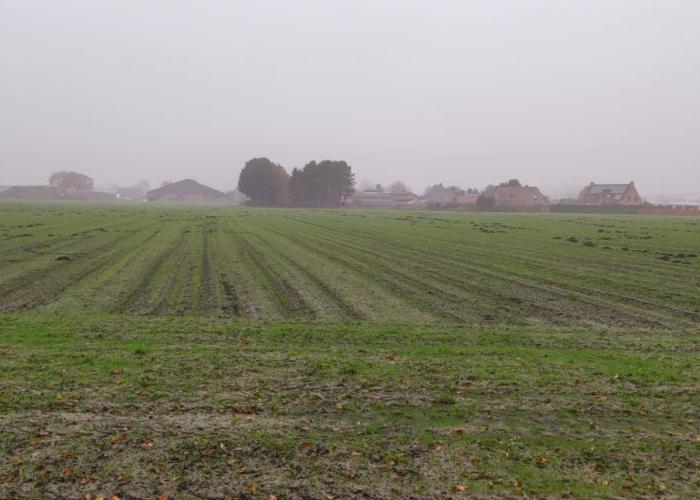 Een nieuwe locatie voor Chiro Rijkevorsel