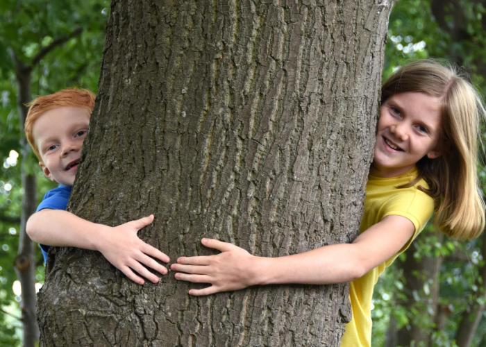 Rijkevorsel kleurt groener door acties 1.001 bomen en Behaag onze Kempen