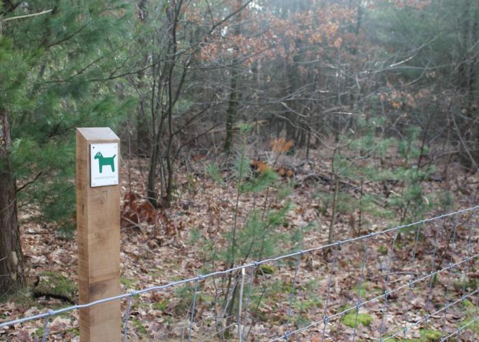 Hondenlosloopzone en speelbos in natuurdomein de Kievitsheide