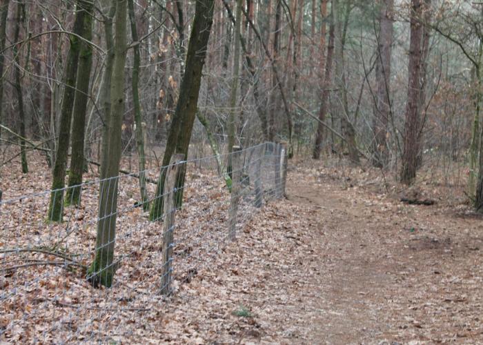 Hondenlosloopzone en speelbos in natuurdomein de Kievitsheide