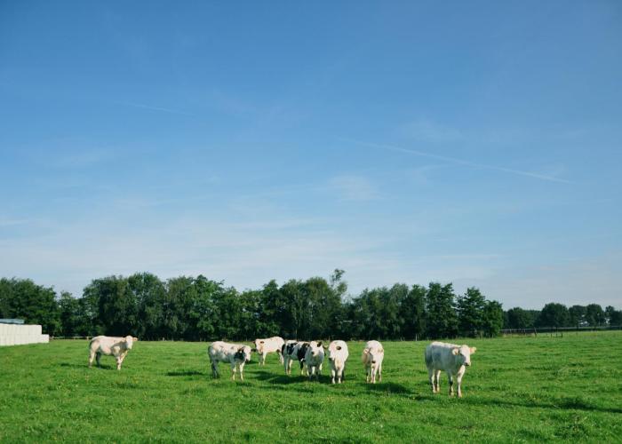 Landbouwprijs Rijkevorsel