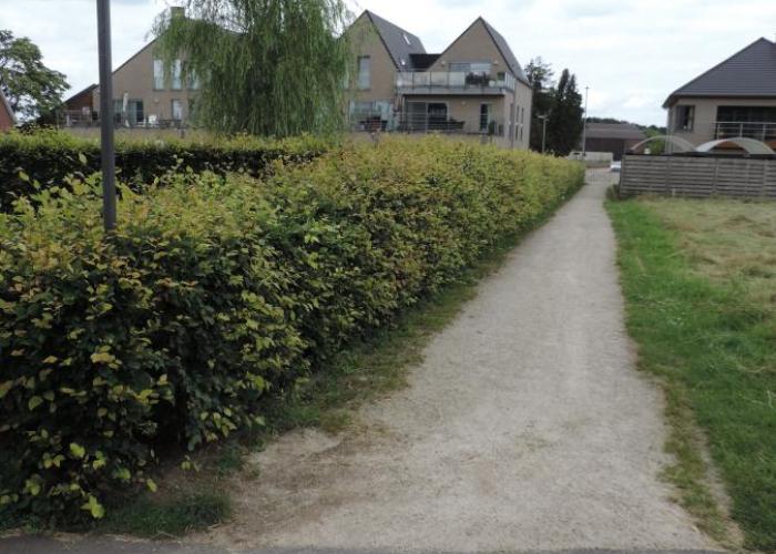 Nieuwe namen voor veertien wijkpaadjes in Sint-Jozef
