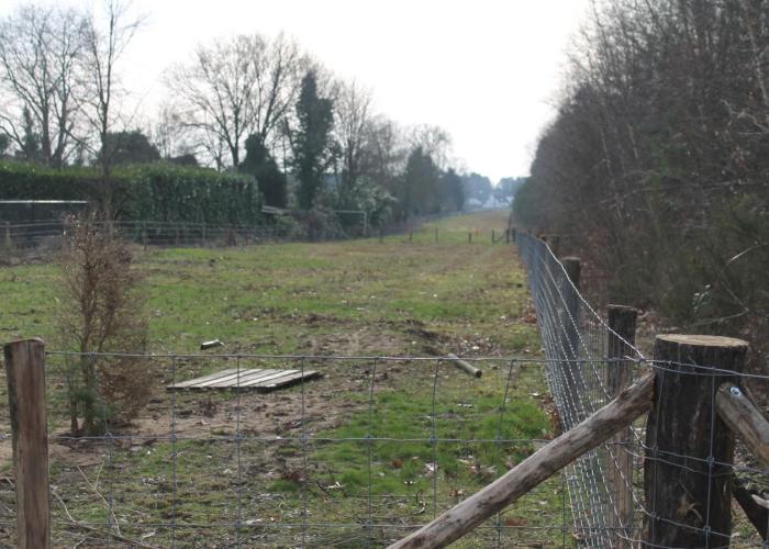 Hondenlosloopzone en speelbos in natuurdomein de Kievitsheide