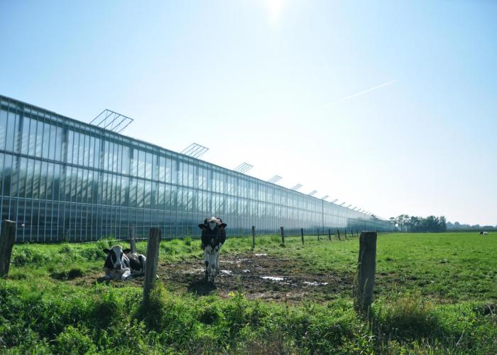 Landbouwprijs Rijkevorsel