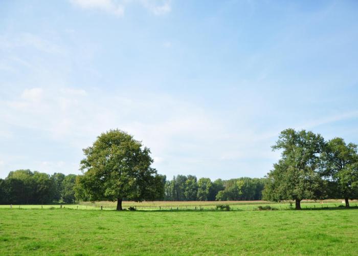 Groen licht voor ruilverkaveling Rijkevorsel-Wortel 