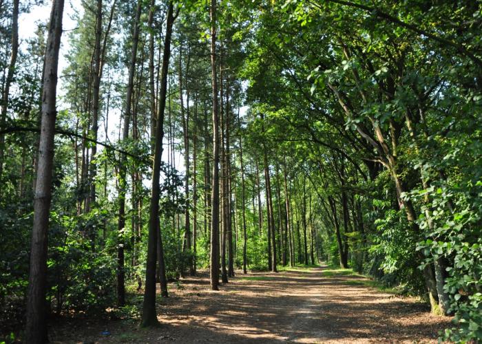 Nieuwe namen voor veertien wijkpaadjes in Sint-Jozef