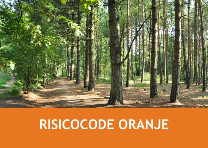 Risicocode groen in bossen en natuurgebieden