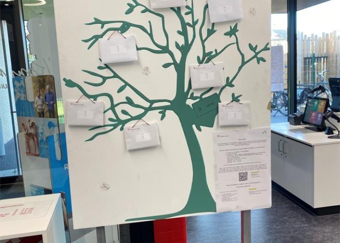 Wensen hangen op in Feeënbomen