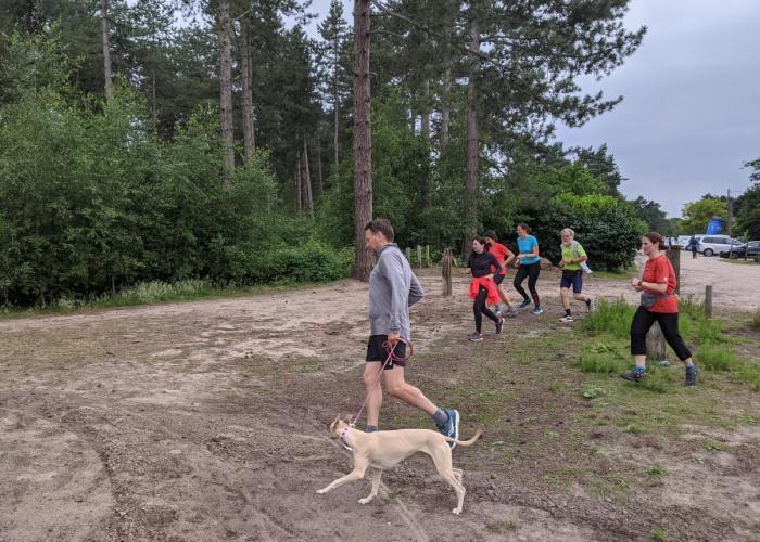 Nieuwe natuurloop in De Pomp, Blakheide en Kolonie