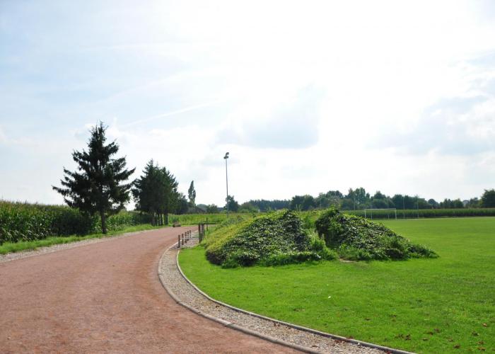 Gemeentelijk sportveld Bavelstraat