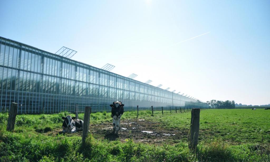 Oproep! Landbouwprijs 2025