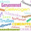 Stem mee op het 'Schoonste Veusselse Woord'!