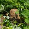 Bijencentrum De Raam ontvangt € 10 000 subsidie via projectoproep Be Planet