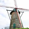 Stenen Bergmolen is 'Hét erfgoed van Rijkevorsel'