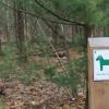 Hondenlosloopzone en speelbos in natuurdomein de Kievitsheide
