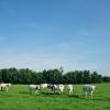 Landbouwprijs Rijkevorsel